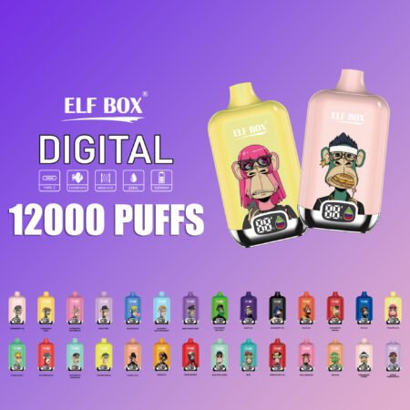 ELF BOX Digital 12000 screen display close-up