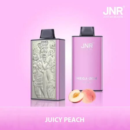 JNR Puff 25k Vape Device with Dual Mesh Coil Technology